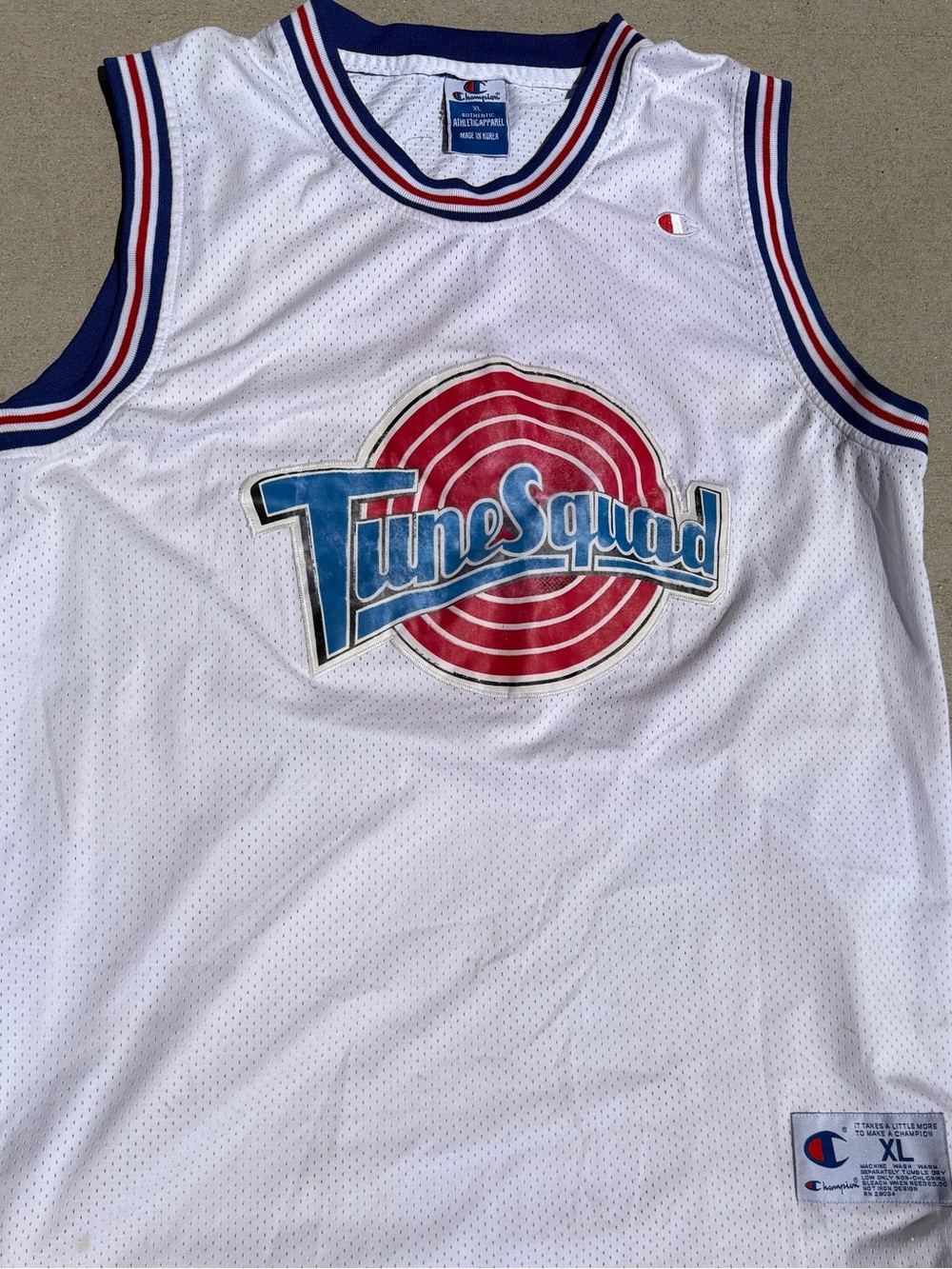 Vintage Champion Space Jam Tune Squad Jordan 23 Jersey XL